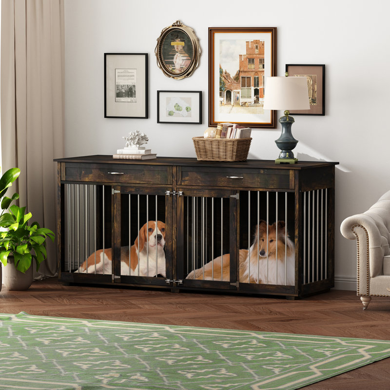 Indoor shops kennel for large dogs